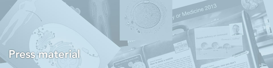 press_header_01