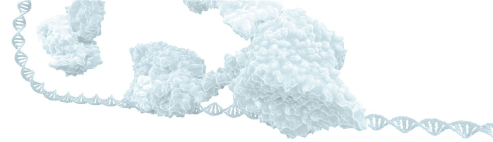 No61_header_01